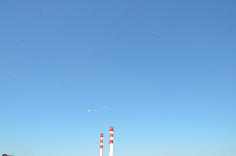 На Благовещение выпустили голубей